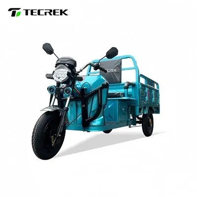 1,3 m elektrische vrachtdriewieler