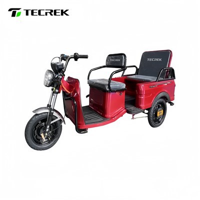 Zware elektrische driewieler voor vrachtvervoer