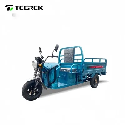 Elektrische driewieler met 3 wielen